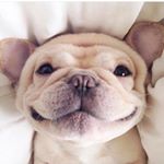 13151314_1049171508496078_1998026133_a