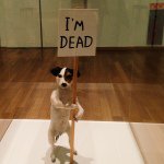 10808425_1554068291495547_1067597911_a