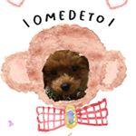 12357533_1011329302223249_118341101_a