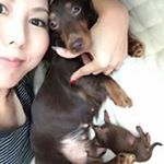 11910056_1465908680383620_748775525_a