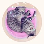 11821816_968237423271052_170941185_a