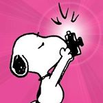 12965696_262319850772220_1808157710_a