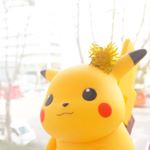 12677381_1517754938531843_1773266352_a