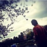 917418_1676726745924681_1389975831_a