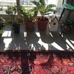 12393601_860391687404747_1232025217_a