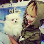 13188208_479403688918435_869188097_a