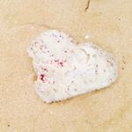 10632373_509715485864925_246708863_a