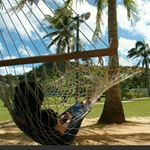 12912571_496216690587224_351525560_a