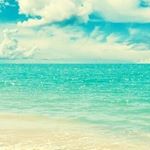 12751045_998119946925103_960583829_a