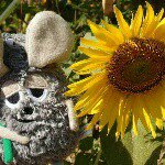 929194_848618928562192_2058225683_a