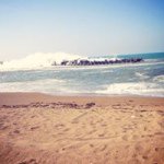 10693327_320964931419539_1688985835_a