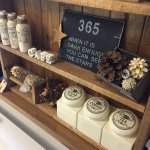 10817845_375738619260230_593691657_a