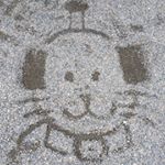 13167286_239015353142417_1641802130_a