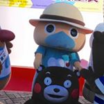 13118229_782037645260834_2063006525_a