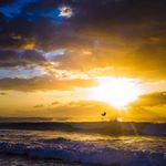 12292618_909149772532629_1150539040_a