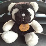 11385541_1419647475030365_805625966_a