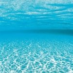 11849875_1637596023186391_1568741743_a