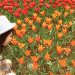 12935138_1081519898537931_1854819324_a