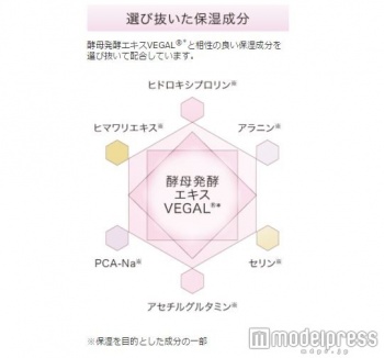 選び抜かれた保湿成分が乾燥を防いでくれる