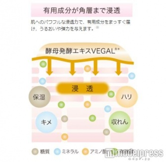 高い保湿力と浸透性で肌の奥までしっかり保湿してくれる