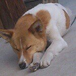 11809861_1672887516258011_1114176723_a