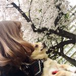 12950360_1608725289453914_1648837852_a