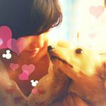 13167458_978517675596152_1479886942_a