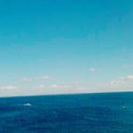 12599467_1740589219488509_1780668697_a