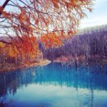 10817825_906884929335275_20554003_a