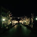 10299620_215377828797284_1909201845_a