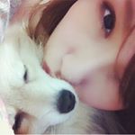 12479447_937613439661217_876952708_a