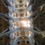 12627821_801465489957922_970519606_a