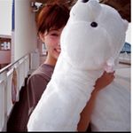 12729475_642588709212820_1032089962_a