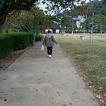 11374210_178922232453638_908656932_a