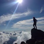 11820422_390382717822602_293062076_a