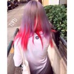 11849088_130948297246217_1715026210_a