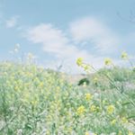 13258848_1261475417259178_817265714_a