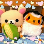 12965033_517061261828023_853776697_a