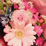 12383501_682222401880664_542111983_a