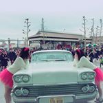 12445898_497527673771946_331742050_a