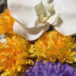 13181301_182186762176965_1760025112_a