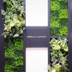 12501873_571141089712495_658079333_a