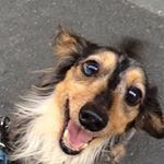 13116579_1581015655561426_2133458682_a