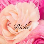 11296649_374498122754643_765359802_a