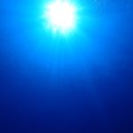 11856857_845042392282510_226852746_a