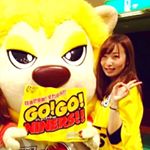 13099009_622391617910091_240114745_a