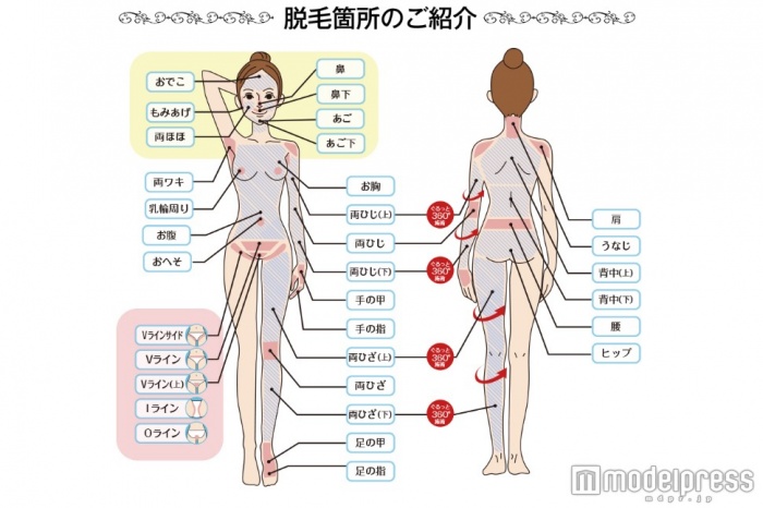 KIREIMOなら全身脱毛でVIO脱毛が一緒にできる