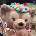 13187926_883930498399713_805561895_a