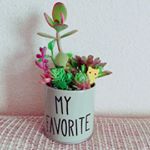 12479654_723624617739911_1316328881_a