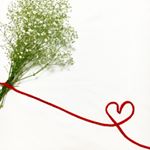 13150910_842503059228047_9736593_a